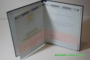 Купить диплом в Мытищах Тольяттинского филиала Современной гуманитарной академии